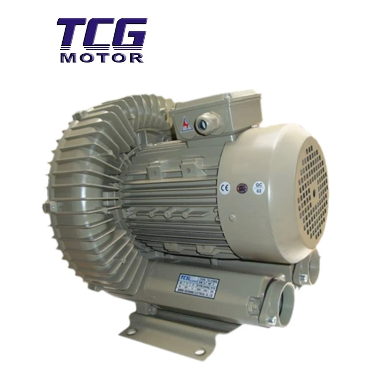 single phase blower motor