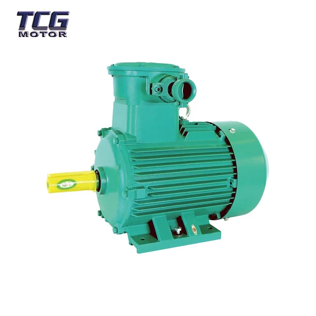 Explosion Proof Ac Asynchronous Motor