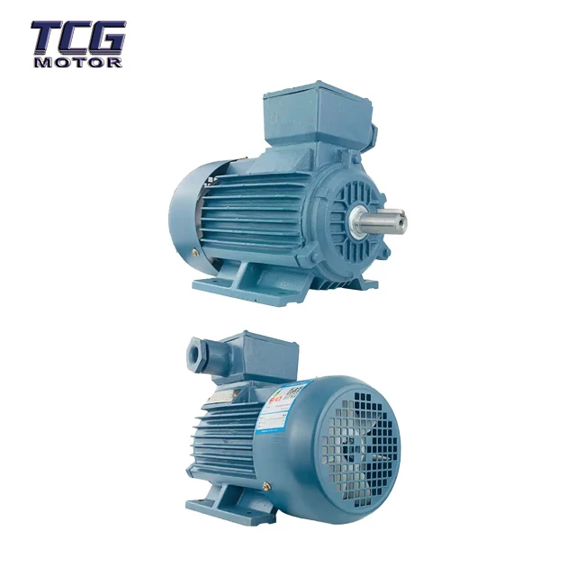 Explosion Proof High Voltage Motor
