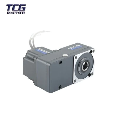 DC Brushless Motor Rolling Door s brzdou